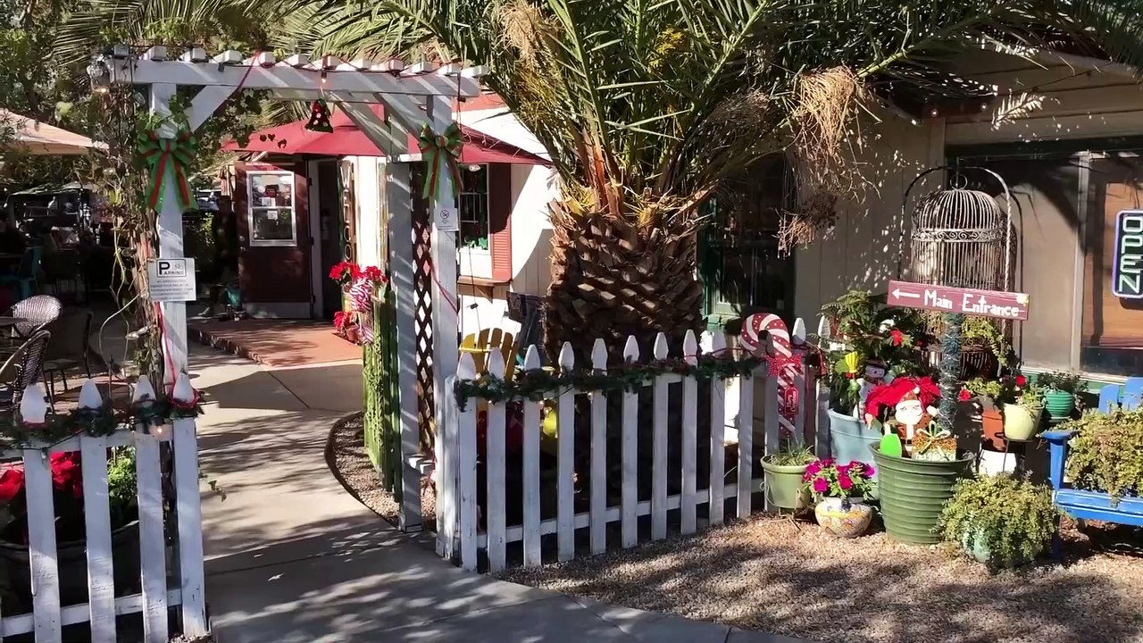 VEGAN MUKBANG (EATING SHOW)  AMAZING COUPLE EATS LUNCH!