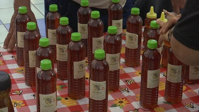 Apicultores de Panamá en alerta, tras presencia de miel alterada en el mercado