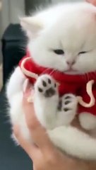 Attitude_is_overload__#song_#1000subscriber_#1millionviews(360p)