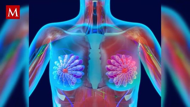 ¿Qué tipo de cáncer tenía Verónica Toussaint? Así fue la lucha de la conductora contra la enfermedad