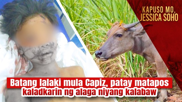 Title: Batang lalaki mula Capiz, patay matapos kaladkarin ng alaga niyang kalabaw | Kapuso Mo, Jessica Soho