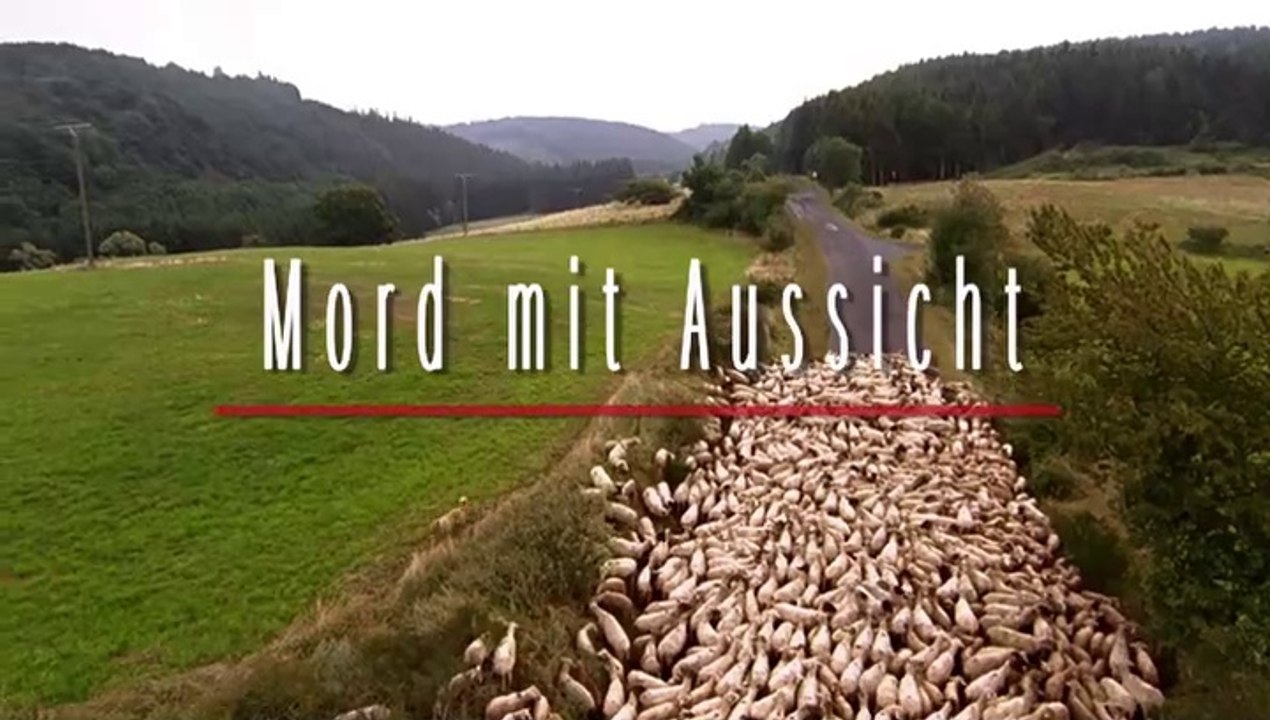 Mord mit Aussicht -25- Der Antrag