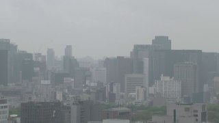 [날씨] 절기 '소만', 충청 이남 여름 더위...중북부 약한 비 / YTN