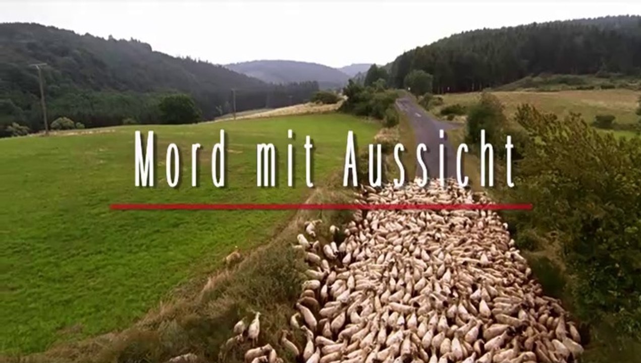 Mord mit Aussicht -24- Ein krummer Hund