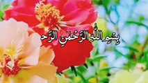 Recitation of Surah Yaseen ||Surah Yaseen Tilawat Quran || Quran Ai recitation