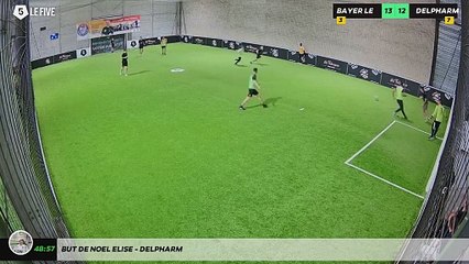 But de Noel Elise - DELPHARM