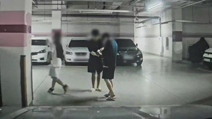 경찰, 10대 추정 '차량털이범' 3명 수사 착수 / YTN