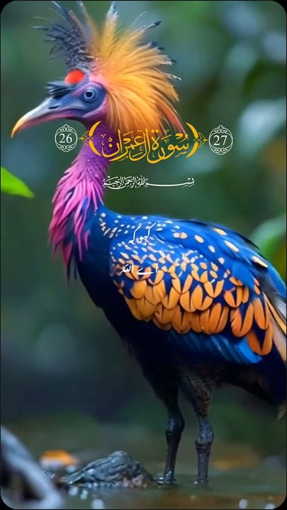 Talawat quran Pak | quotes islamic shorts video status