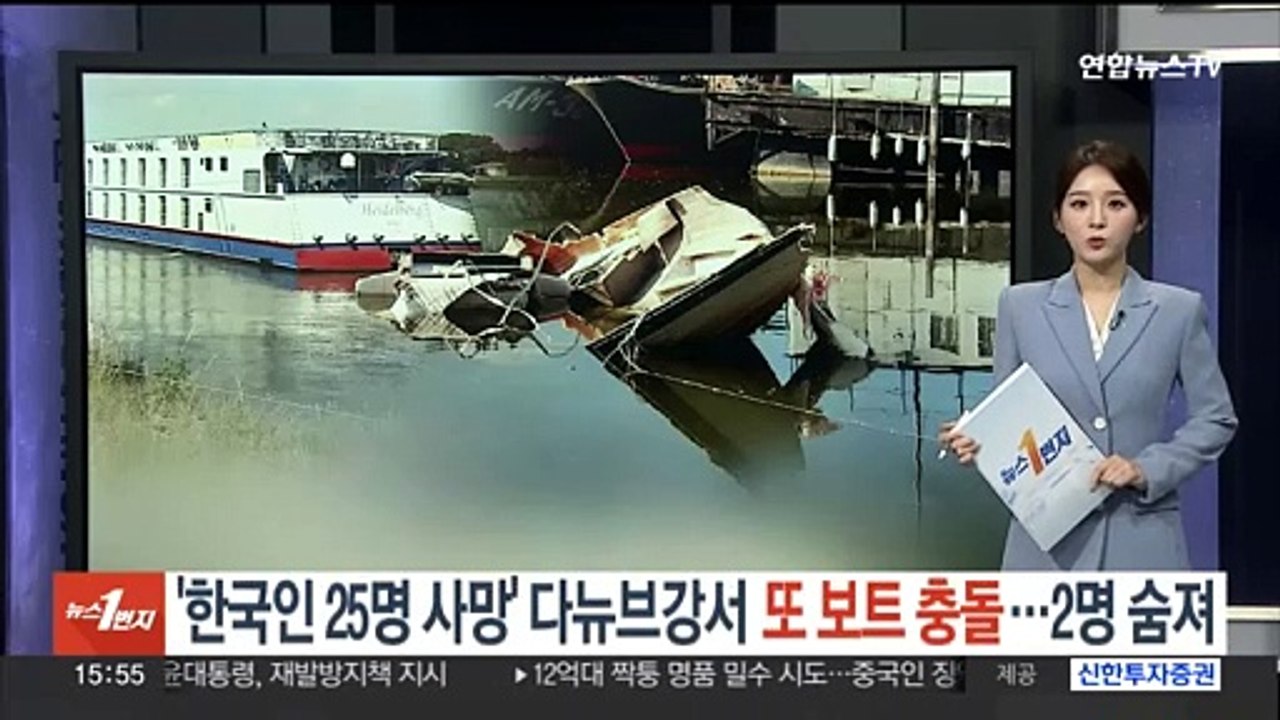 '한국인 25명 사망' 다뉴브강서 또 보트사고…2명 숨져