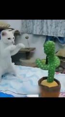 Funny Animal Videos Of The Day 0030!  #fyp #memes #memedaily #dankmemes