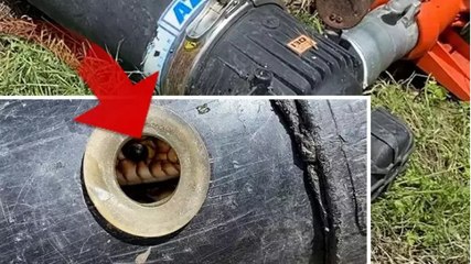 Tokatlı çiftçi borudan gelen sesin kaynağını öğrenince gözlerine inanamadı