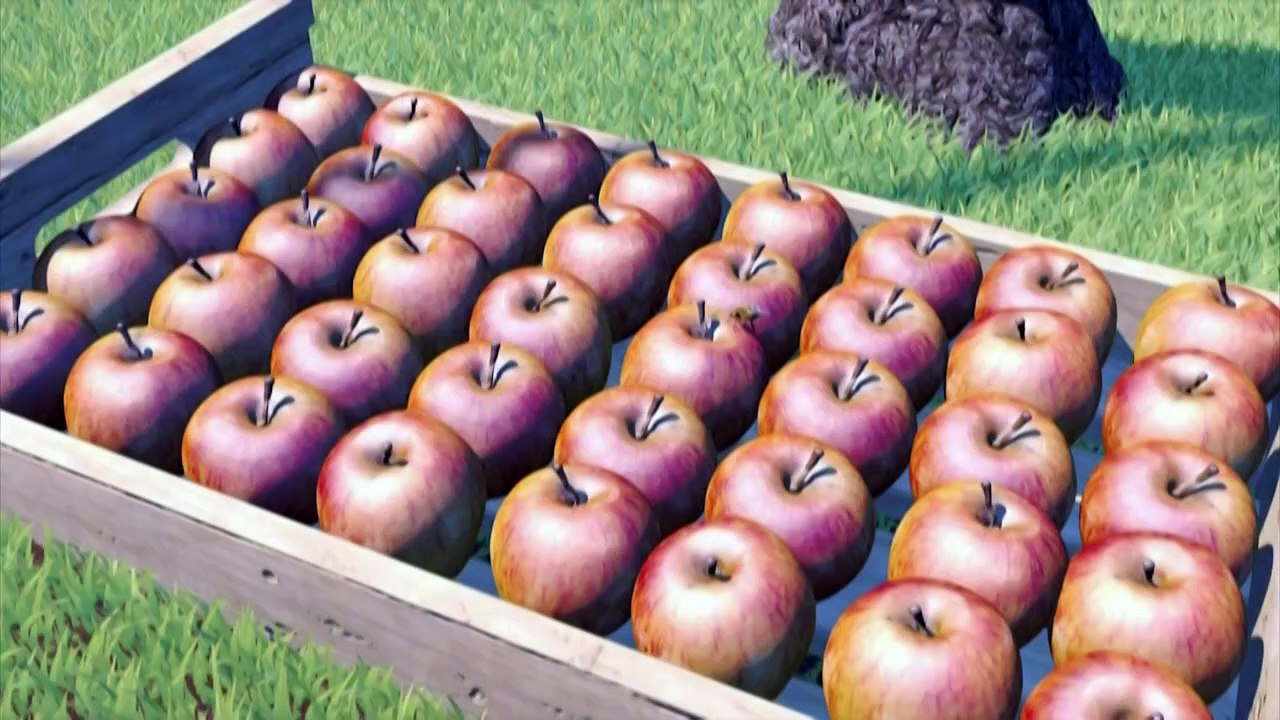 Videografik: Bienensterben bedroht ganze Ökosysteme