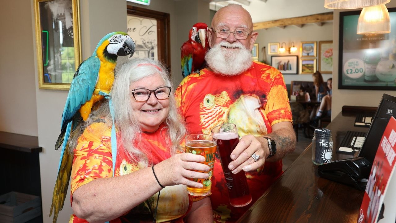 Couple take pet parrots to the shops, opticians - and even pub lunches