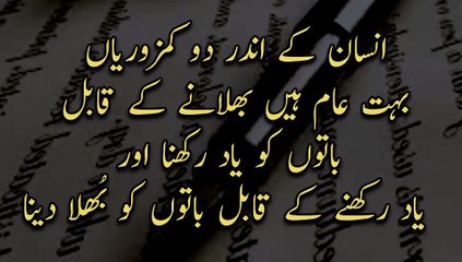 Quotes about life/ aqwal e zareen motivational speech