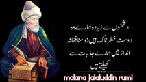 DO CHEEZAIN KHAMOSHI SE KARO | Rumi quotes