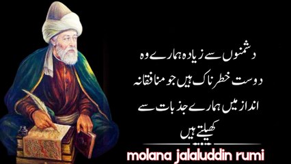 DO CHEEZAIN KHAMOSHI SE KARO | Rumi quotes