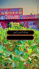 Sorah ikhlas | سورہ اخلاص | القرآن|