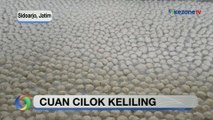 Berawal dari Berjualan Dagangan Kakak, Kini Jadi Produser Cilok Terkenal