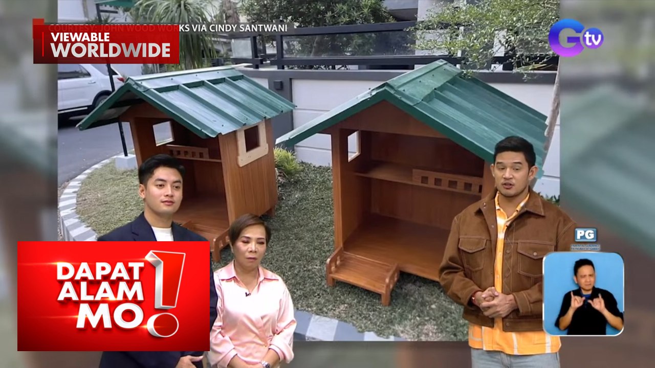 Bahay para sa mga stray cat, ipinagawa ng isang residente | Dapat Alam Mo!