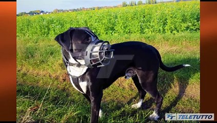 Punti di vista - Puntata del 15/05/2024