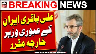 Ali Bagheri Appointed Iran Acting FM