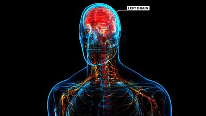 How Einstein's Brain was Different _