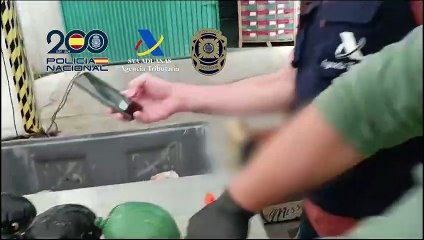 Incautada una tonelada de cocaína oculta en melones y zumos, en una operación policial en Portugal y Vigo