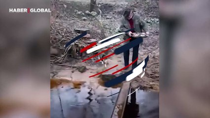 Islak köprüde patilerinin ıslanmasını istemeyen kedi akrobatik zekasıyla şaşırttı