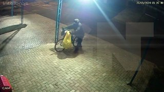 Noite fria: Morador de rua furta cobertor de cachorrinho; Até animais à mercê da criminalidade