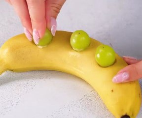 Awesome gardening experiments for the best results!