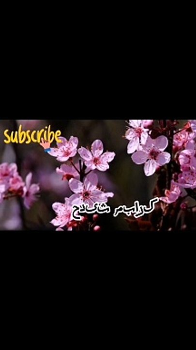 Islamic video Islamic short Islamic song
