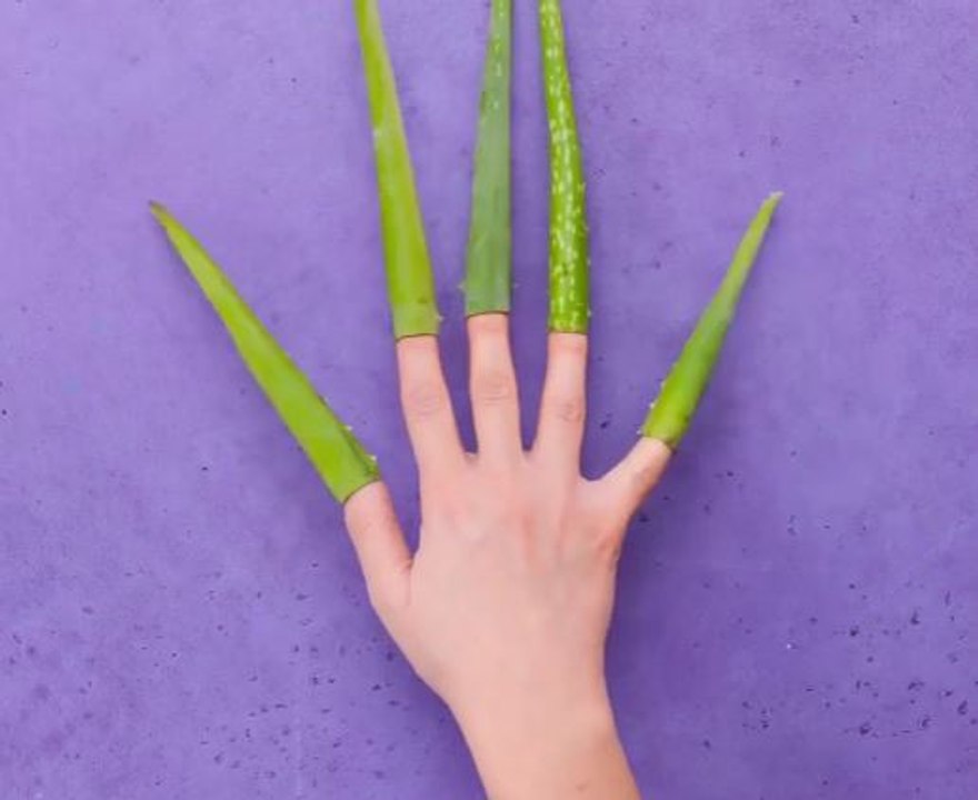 Aloe Vera hacks to brighten your daily beauty routine!