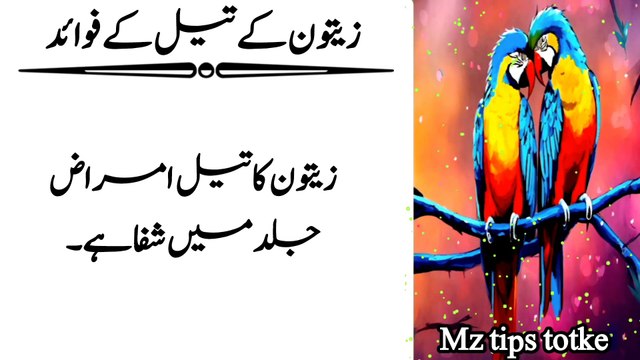 zaitoon ke fayde || zaitoon oil ke fayde 2024 || zaitoon khane ke fayde ] mz tips totke