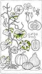 PAINTING  | PAINTING for kids