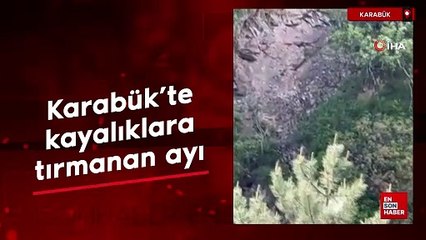 Karabük'te kayalıklara tırmanan ayı