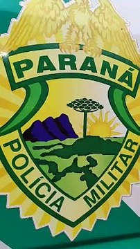 Após denúncia, Polícia Ambiental realiza vistoria e encontra sete aves nativas em casas de Iporã