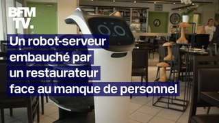 Un restaurateur du Lot embauche un robot-serveur par manque de personnel