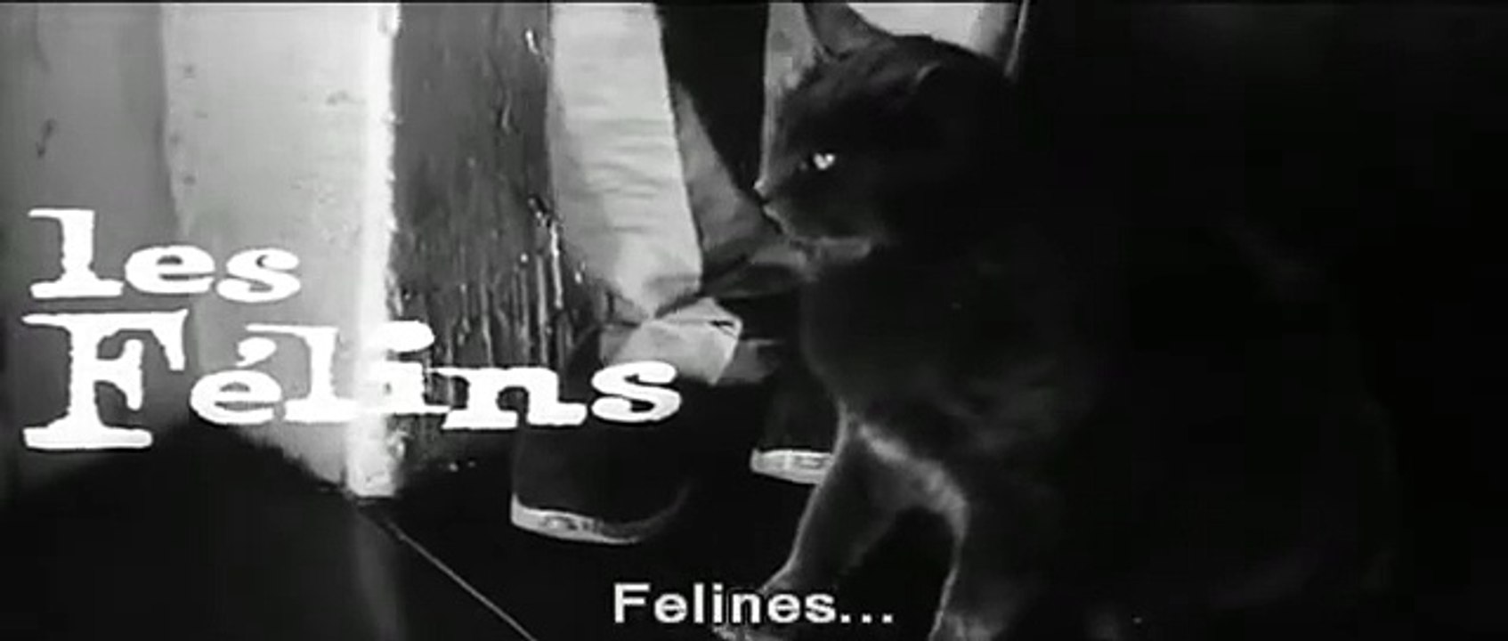 Les Félins Bande-annonce (EN)