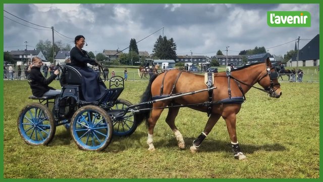 Les sports et loisirs équestres à l'honneur au salon EquiFeria de Libramont