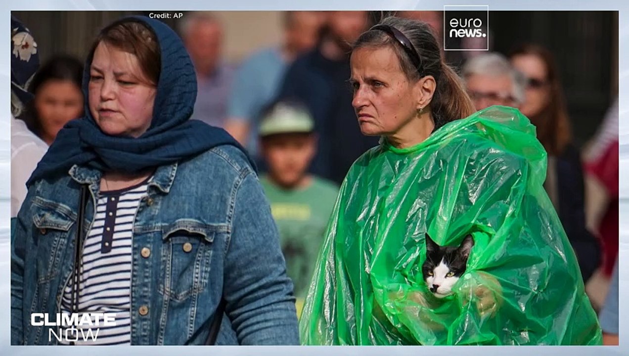 Farm Zero C möchte eine klimaneutrale, gewinnbringende Milchfarm entwickeln – ist das möglich?