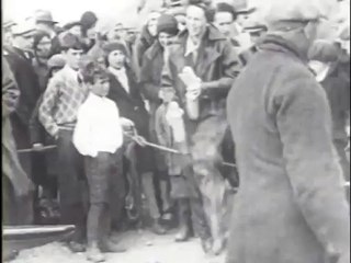 Скачать видео: Amelia Earhart parte en un viaje solitario a través del Atlántico (1932)