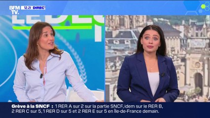 Virginie Hilssone  sur BFM (20/05/2024)