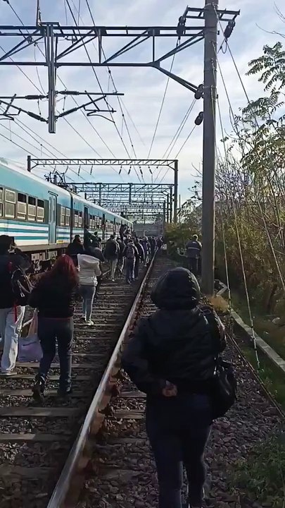 Tren Roca cancelaciones