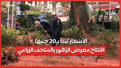 الأسعار تبدأ بـ 20 جنيها..افتتاح معرض الزهور بالمتحف الزراعي