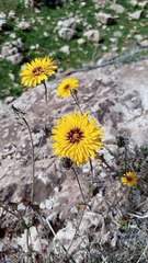 Ajdigg tidili massfioua