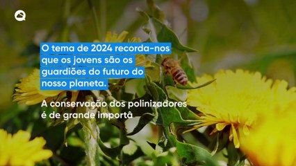 Hoje celebramos o Dia Mundial das Abelhas