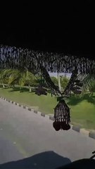 Poetry Enthusiasts 📜 - thumbnail