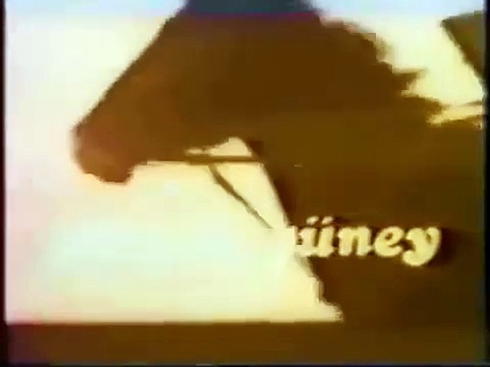 Kovboy Ali