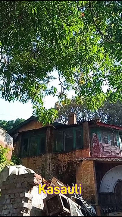 Kasauli