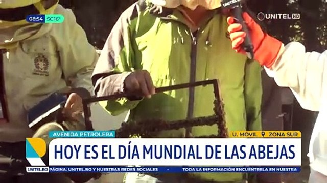 Apicultores conmemoran el Día Minimalismo de las abejas con una feria este fin de semana 